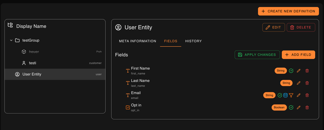Entity definition fields with various types and constraints